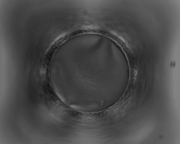 X0000102521254200808081419