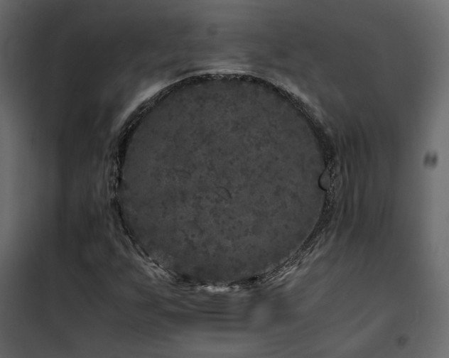 X0000102521255200808081419