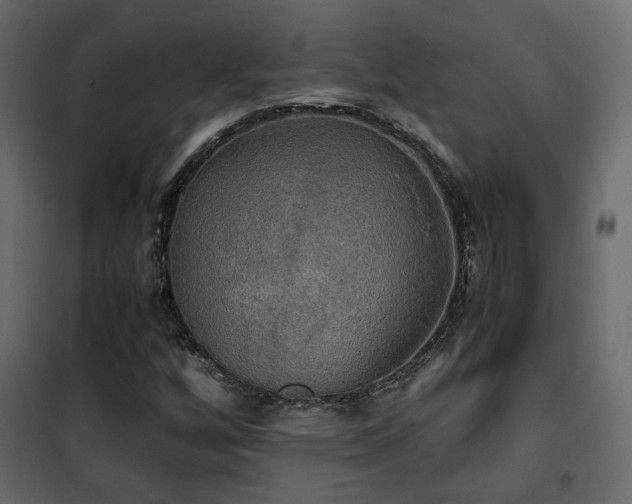 X0000102521256200808081419