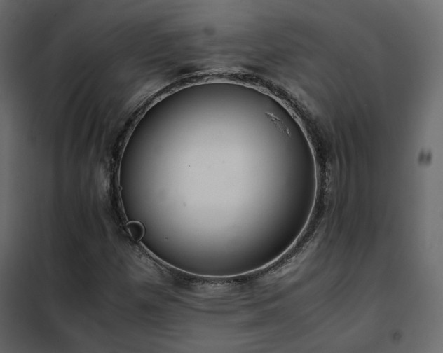 X0000102521257200808081419