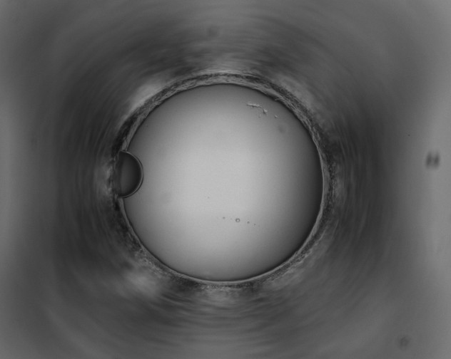 X0000102521258200808081419