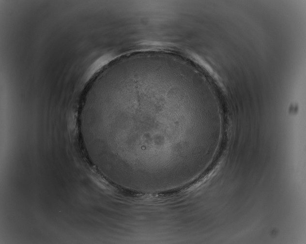 X0000102521259200808081419