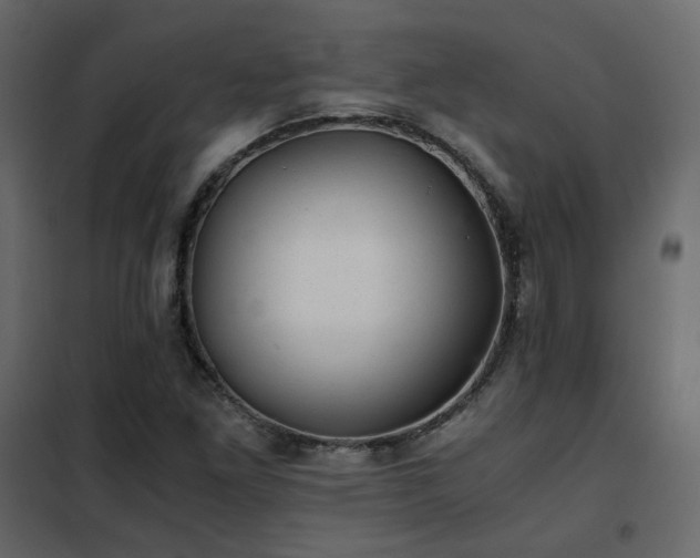 X0000102521261200808081419