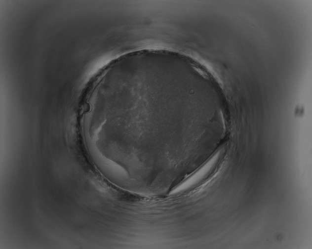 X0000102521263200808081419