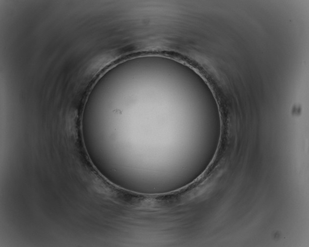 X0000102521265200808081419