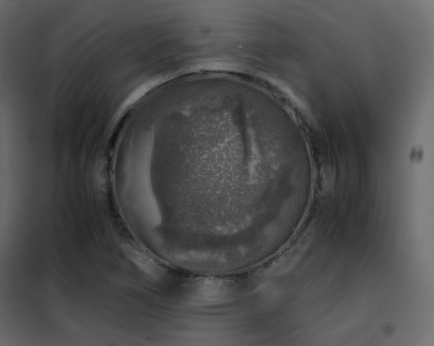 X0000102521266200808081419