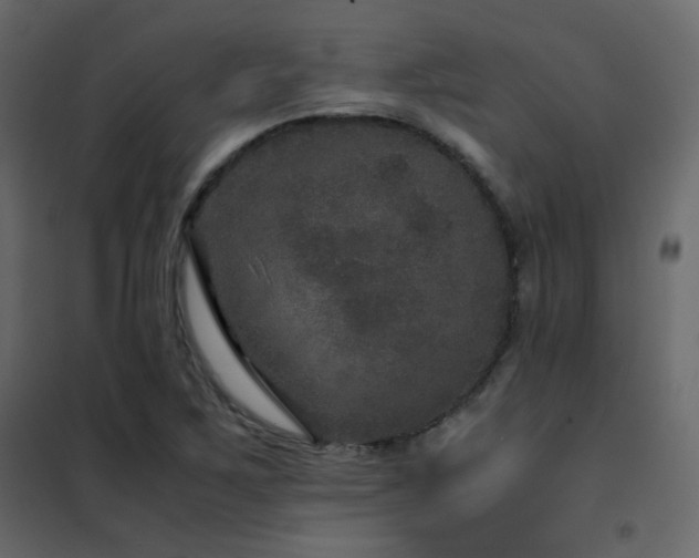 X0000102521267200808081419