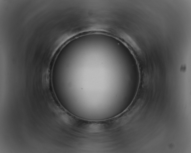 X0000102521268200808081419