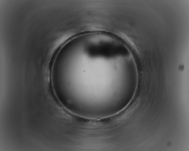 X0000102521269200808081419