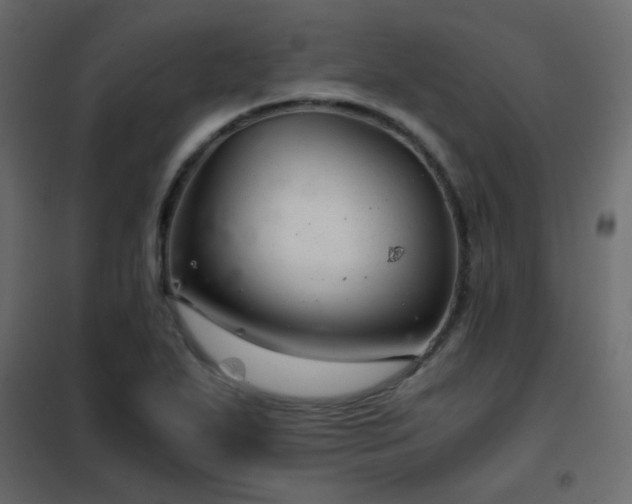 X0000102521271200808081419