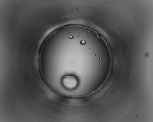 X0000102521272200808081419