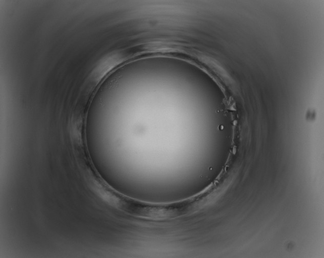 X0000102521273200808081419