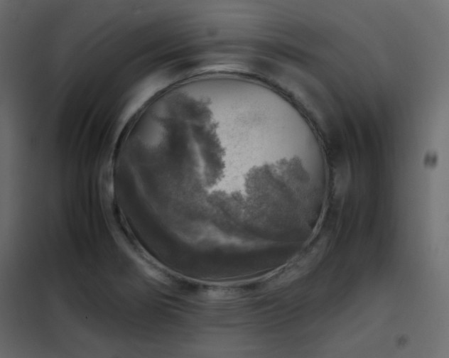 X0000102521274200808081419