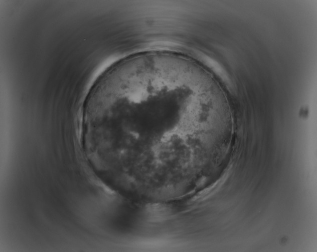 X0000102521275200808081419