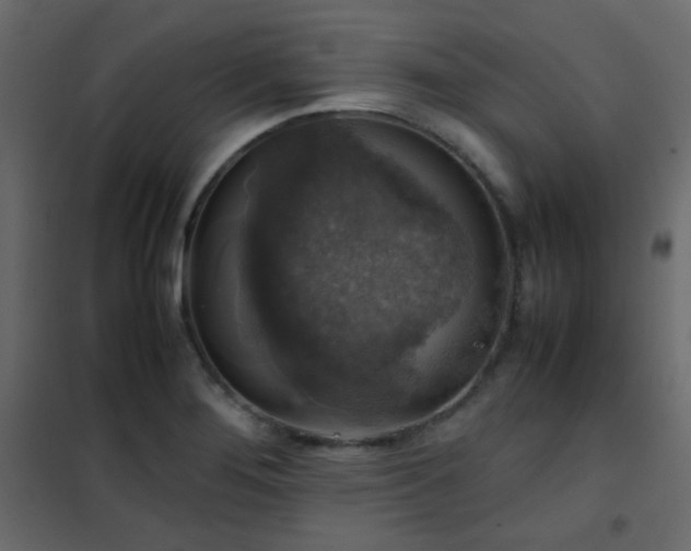 X0000102521276200808081419