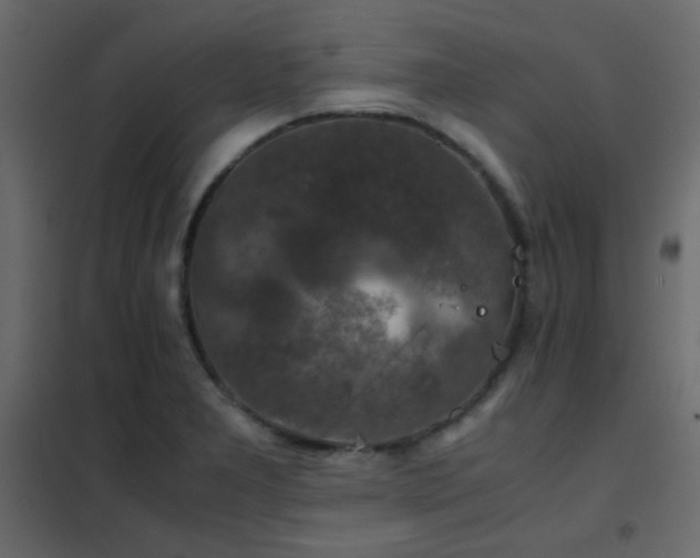 X0000102521277200808081419