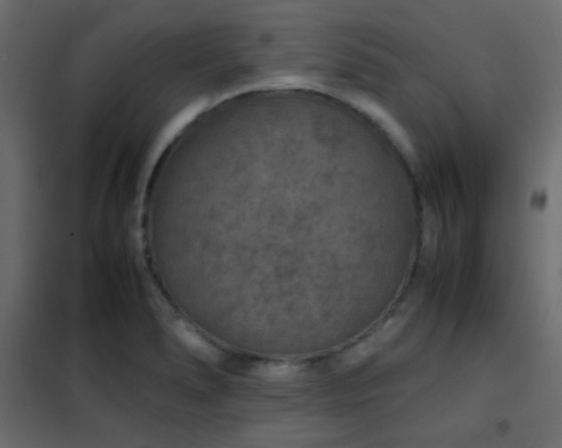 X0000102521278200808081419