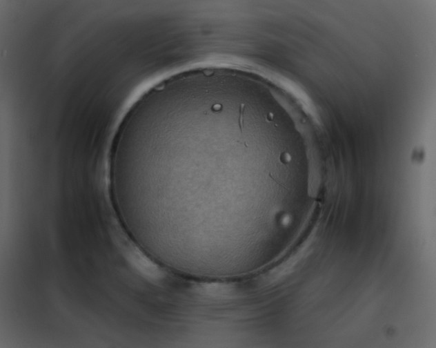 X0000102521280200808081419