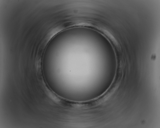 X0000102521281200808081419