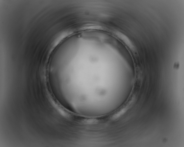 X0000102521282200808081419