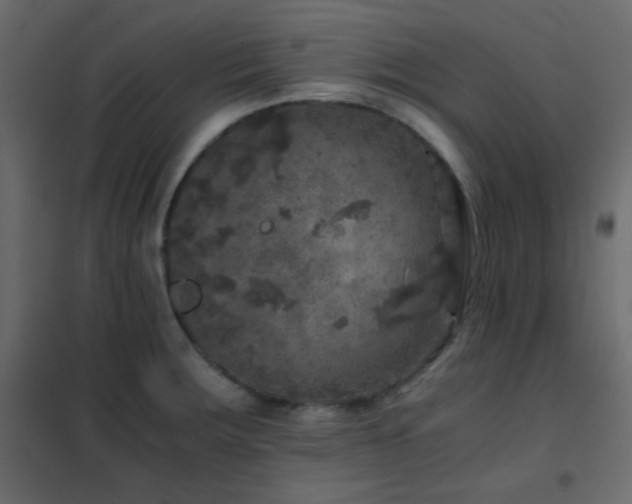 X0000102521283200808081419