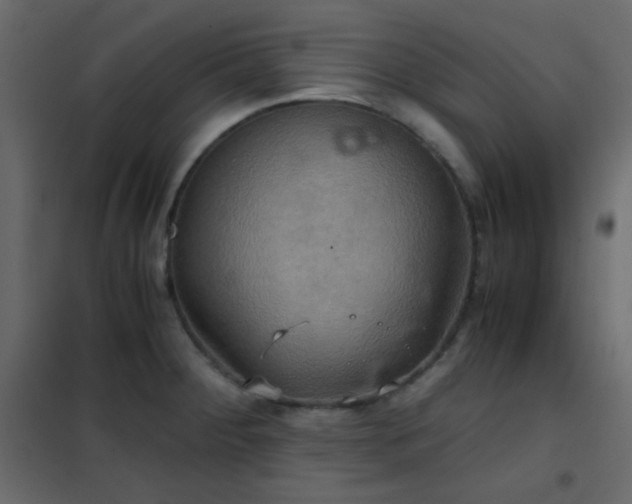 X0000102521284200808081419