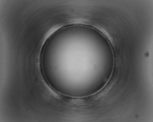 X0000102521285200808081419