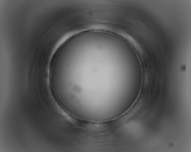 X0000102521286200808081419