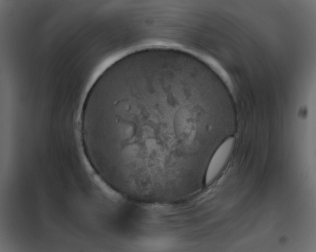 X0000102521287200808081419