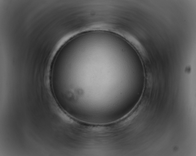 X0000102521288200808081419