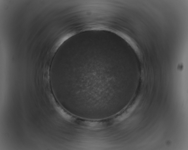 X0000102521289200808081419