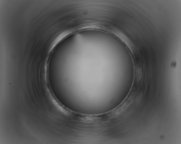 X0000102521290200808081419