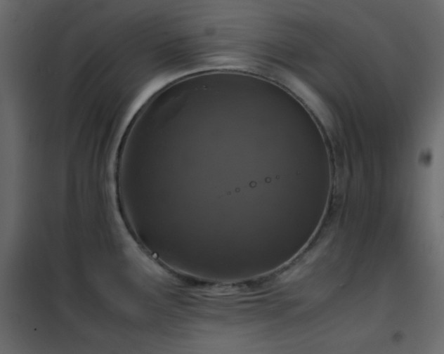 X0000102521291200808081419