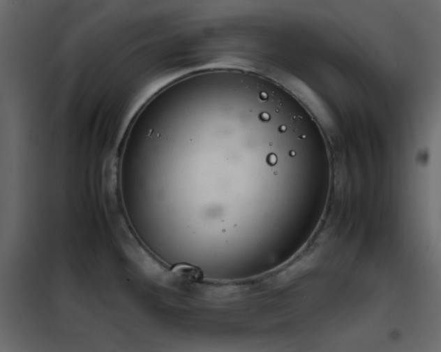 X0000102521292200808081419