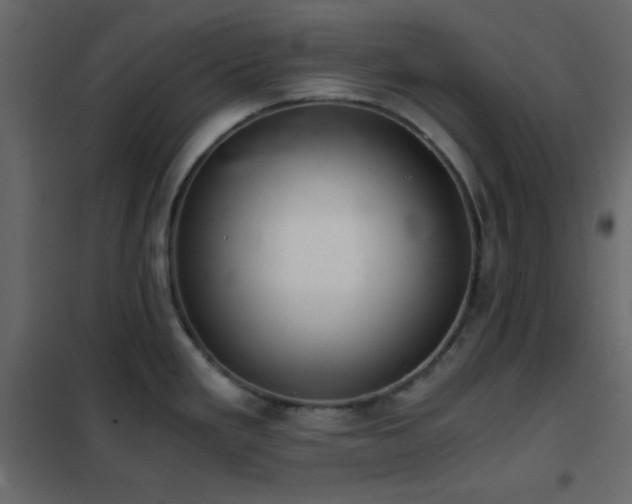 X0000102521293200808081419