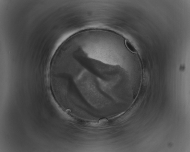 X0000102521295200808081418