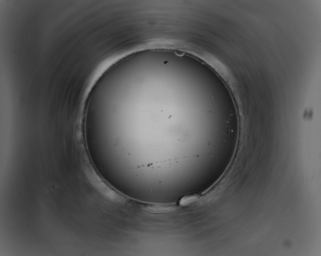 X0000102521296200808081418