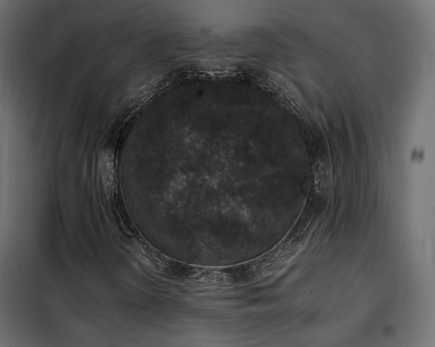 X0000102521298200808081418