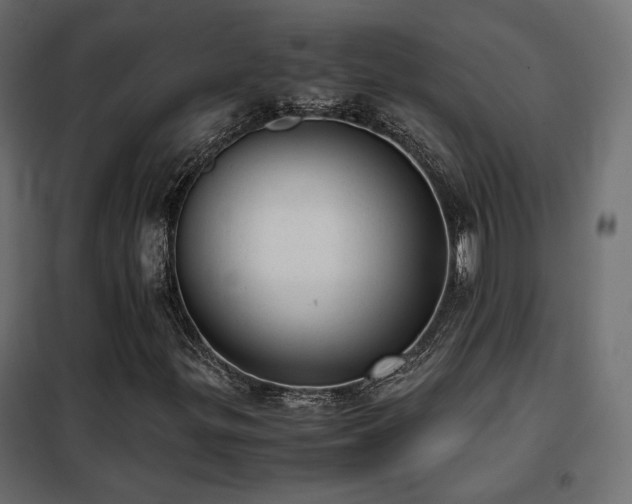 X0000102521299200808081418