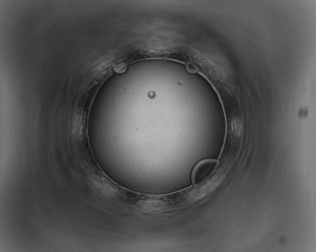 X0000102521300200808081418