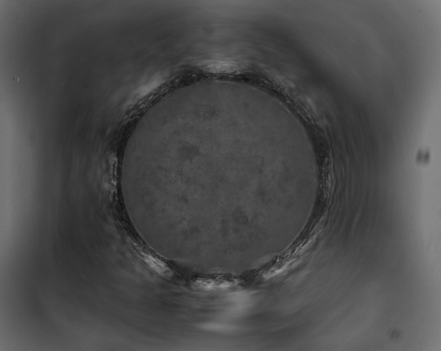 X0000102521301200808081418