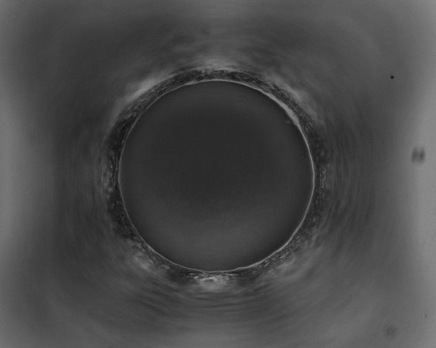 X0000102521303200808081418