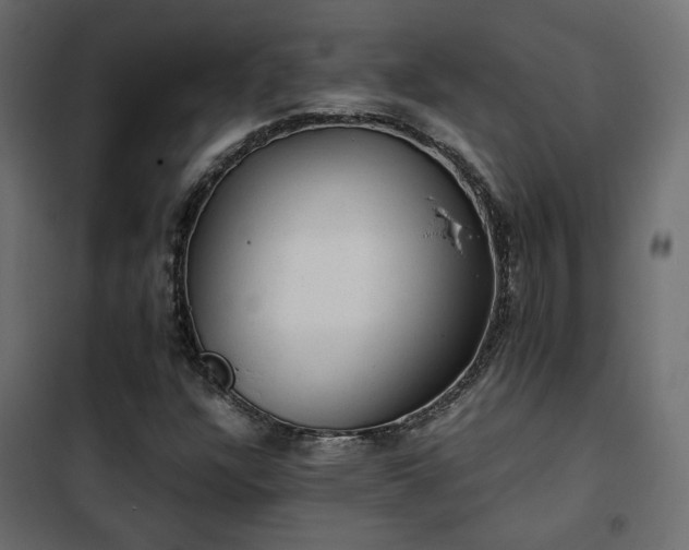 X0000102521304200808081418