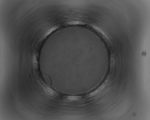 X0000102521305200808081418