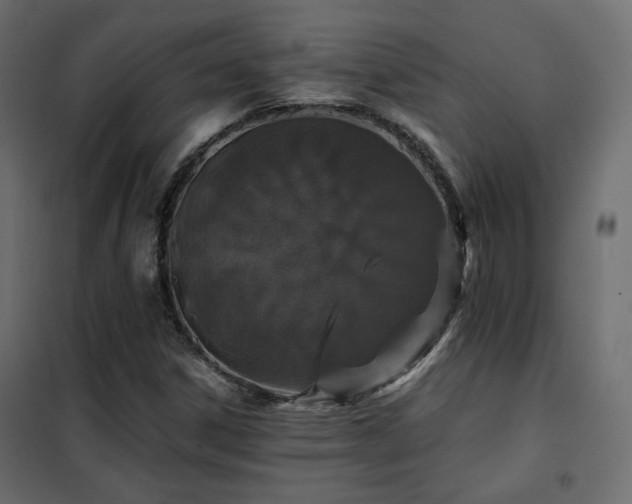 X0000102521306200808081418