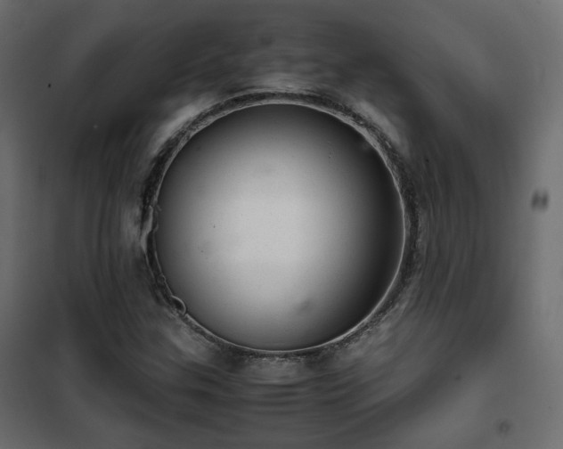 X0000102521307200808081418