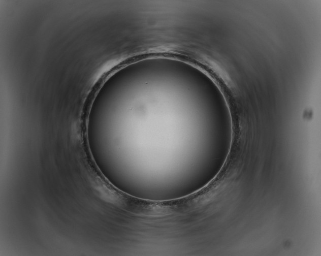 X0000102521308200808081418