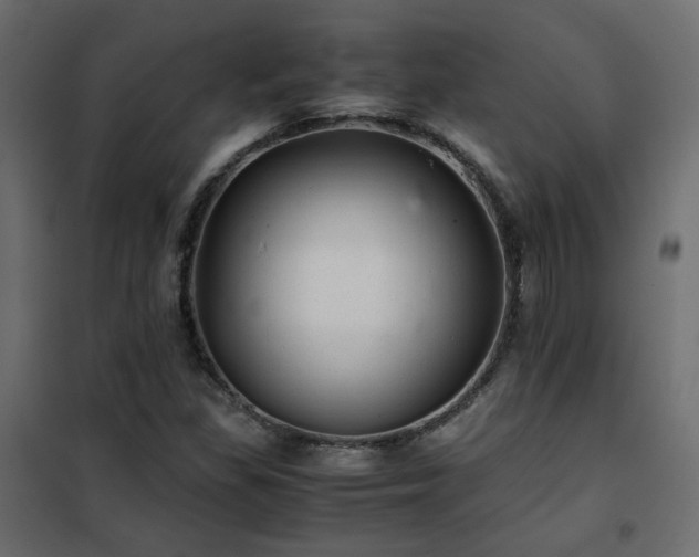 X0000102521309200808081418