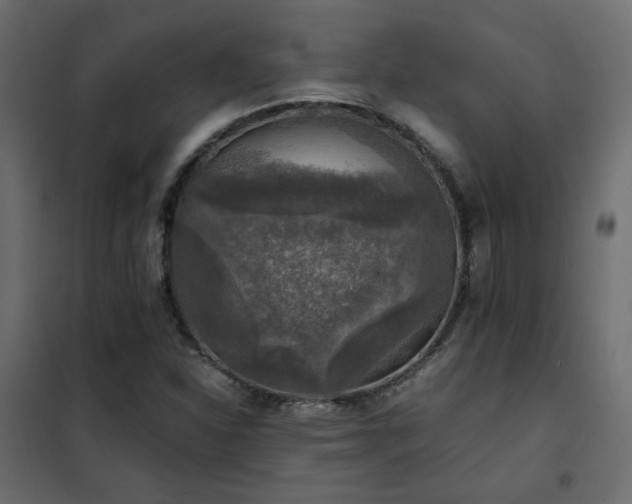 X0000102521310200808081418