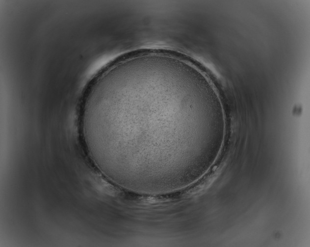 X0000102521311200808081418